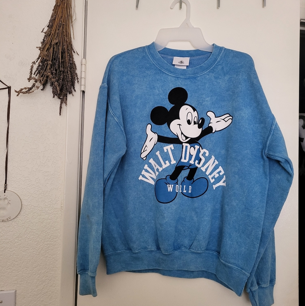 Walt Disney world sweater